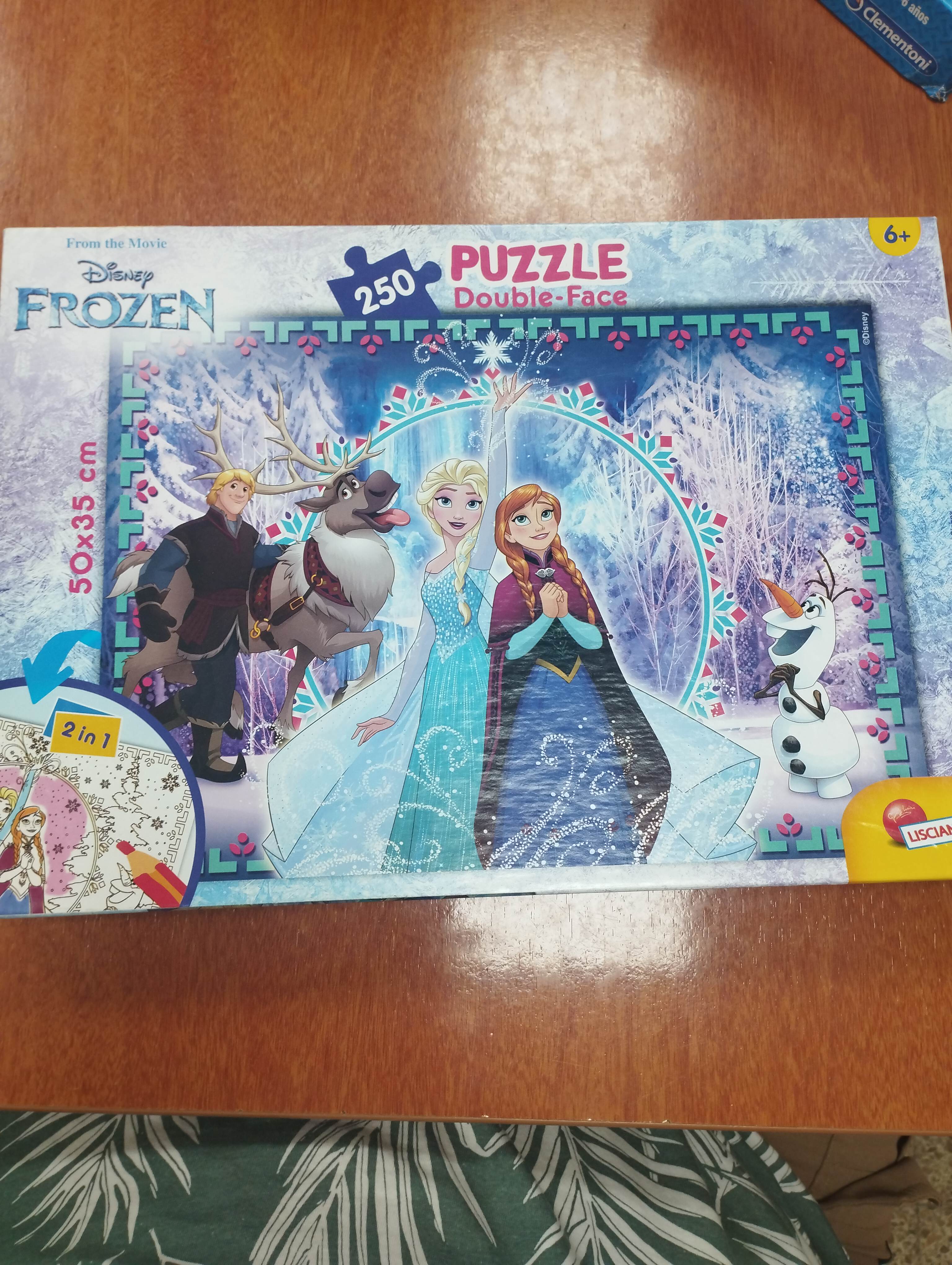 Frozen puzzle double-face